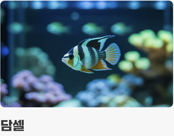 첫 만남, 튼튼한 입문 어종