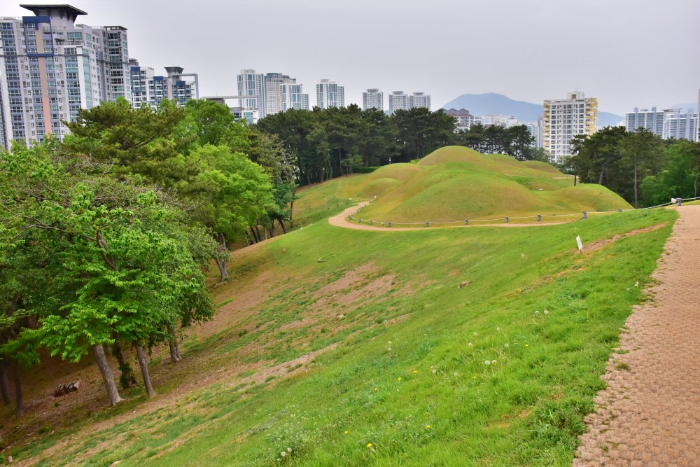 연산동 고분군 모습 2023년 4월