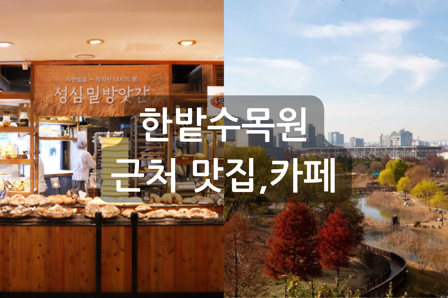 한밭수목원 근처 맛집,카페