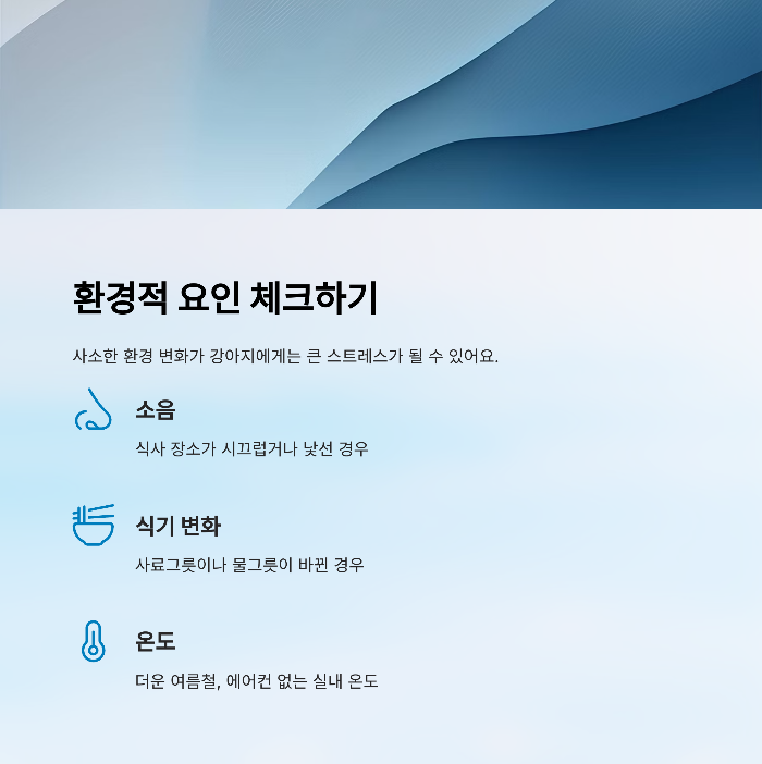 강아지 사료 안먹을때