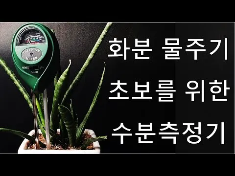 토양수분 측정 수분계사용법 손가락체크 물주기시기 헷갈림 해결_2