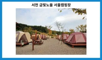 서울 캠핑 초보 캠핑장 추천_7