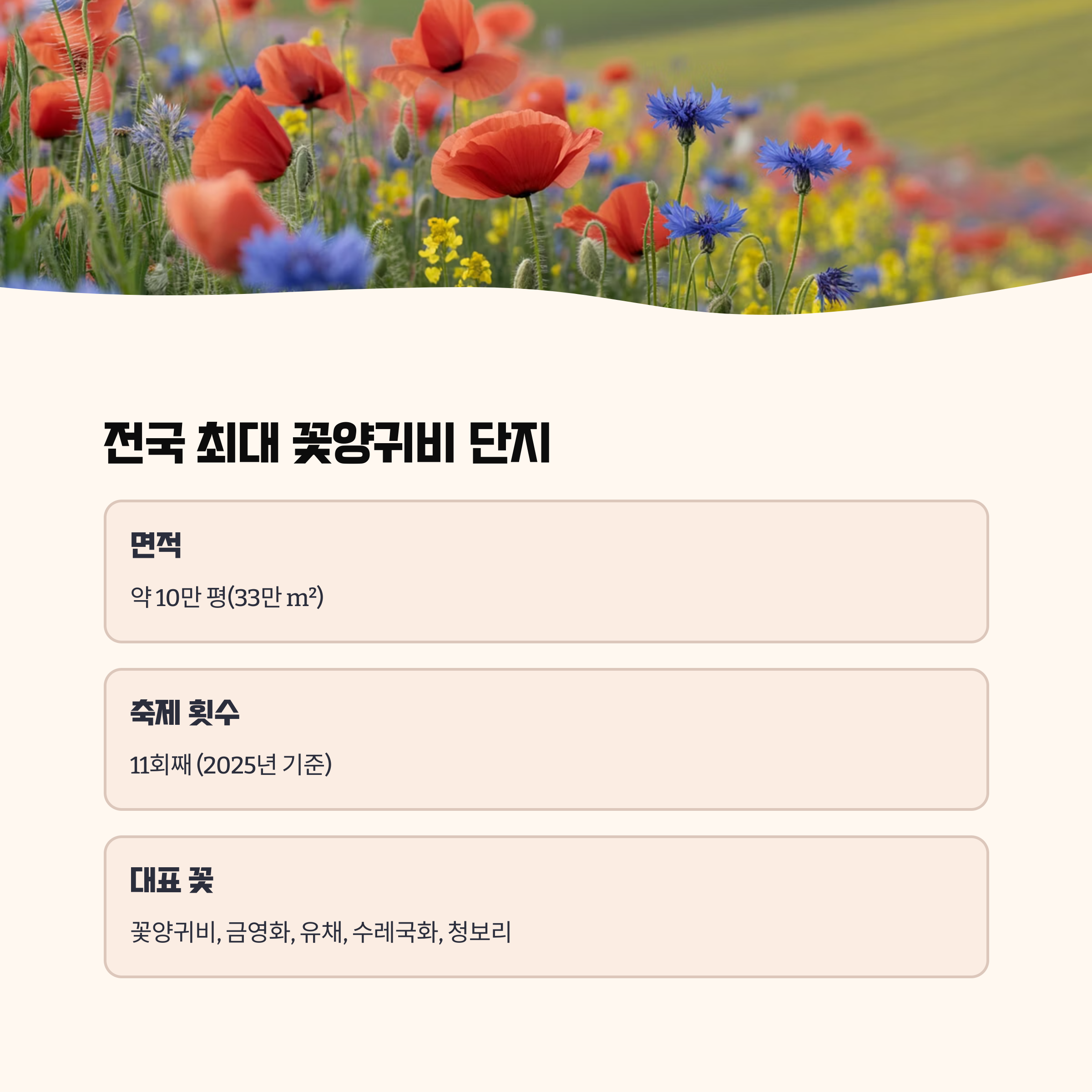 하동 북천 꽃양귀비 축제 주요 특징