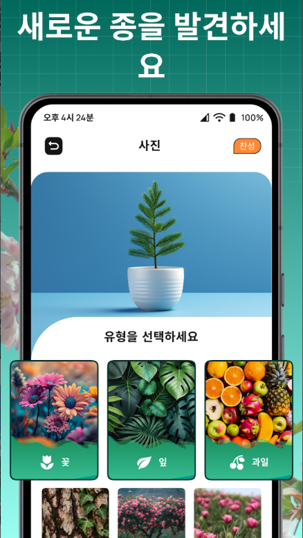 식물 이름 찾기 어플 설치, 식물 찾기