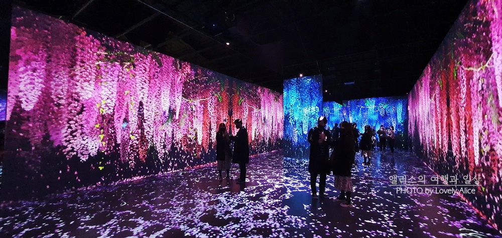 제주 실내 가볼만한곳 포도 뮤지엄 빛의 벙커 헬로키티 아일랜드 포함