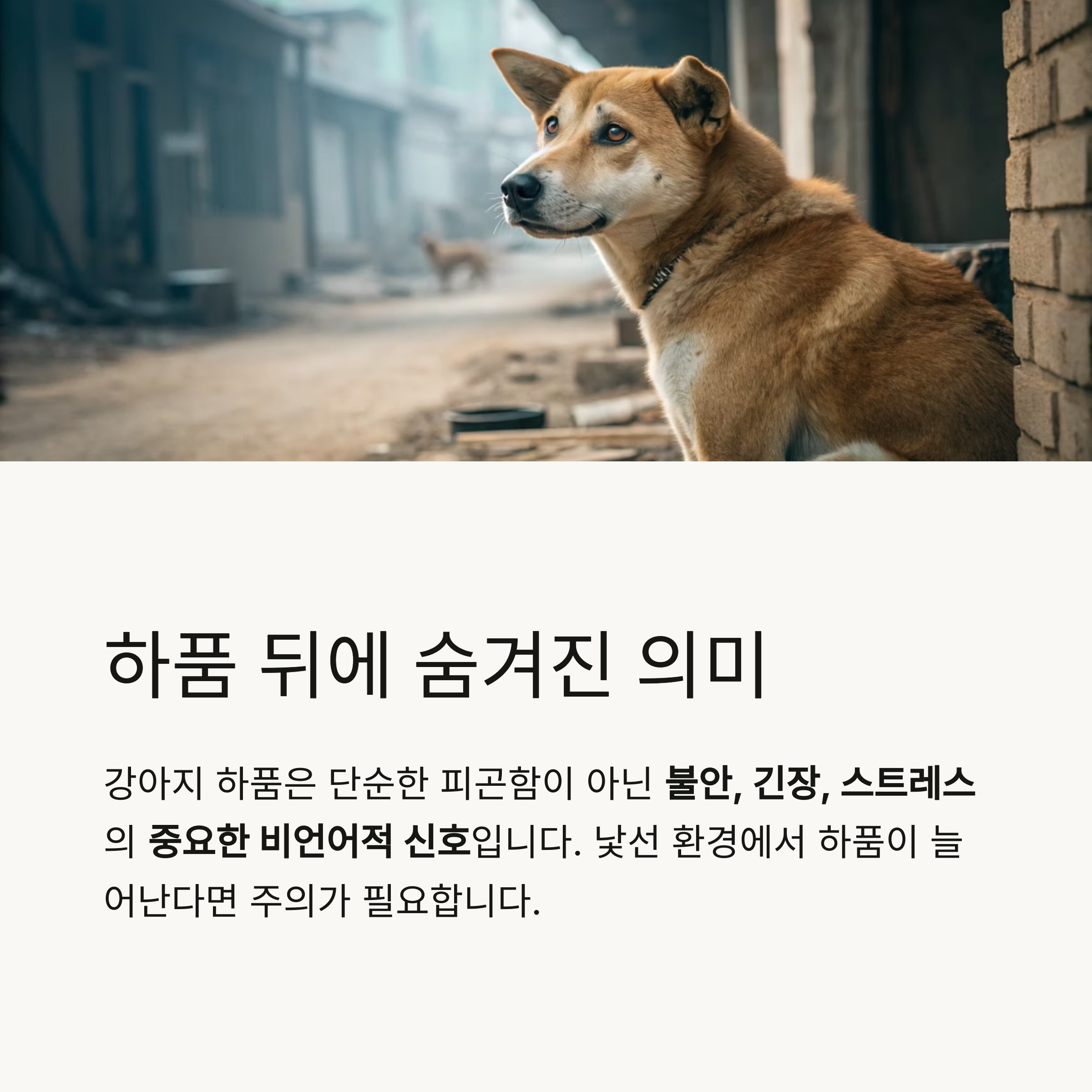 하품 뒤에 숨겨진 의미