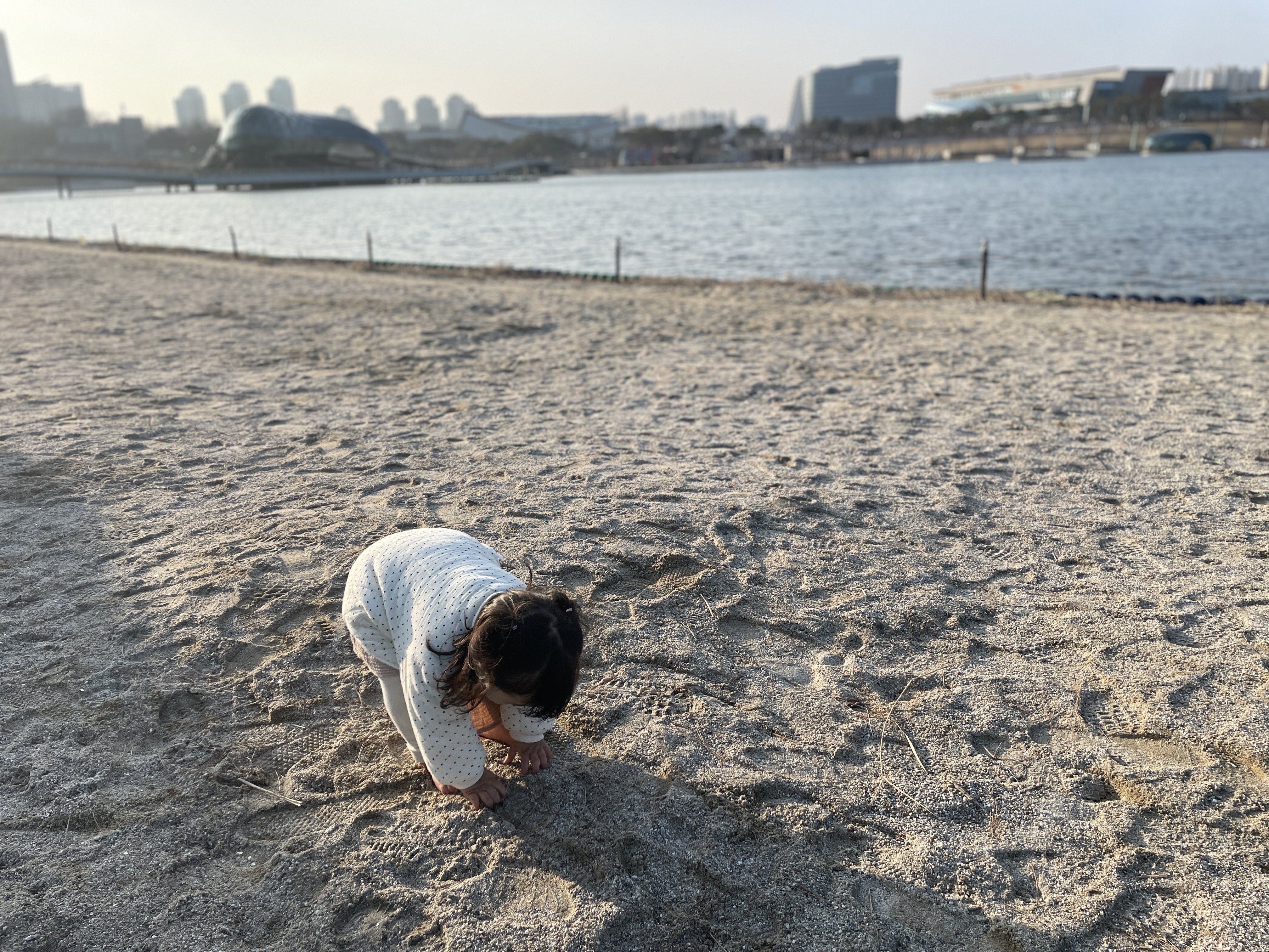 세종 호수공원 물놀이섬 아이와