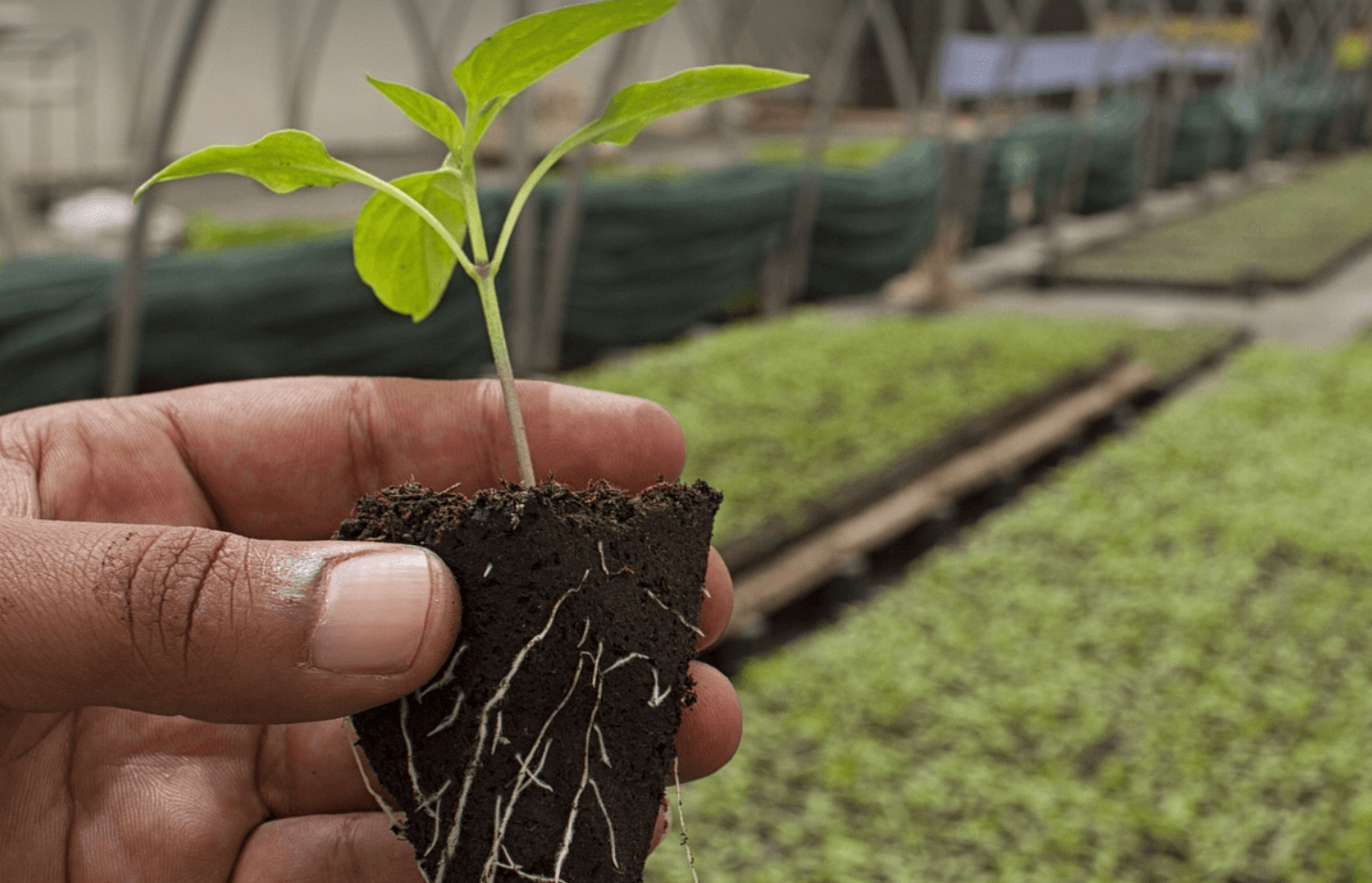 귀농 혜택 관련 사진