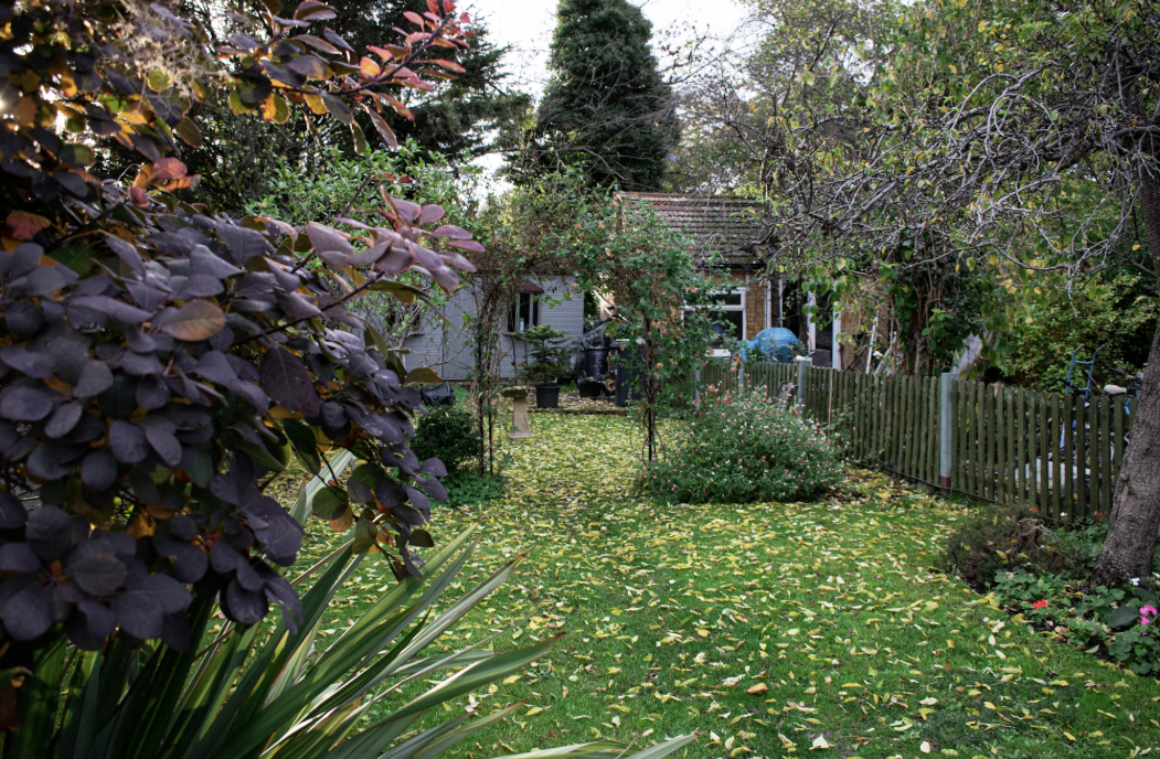 영국지역 앞마당 봄정원 사진