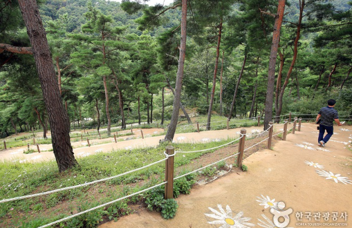 구절초지방정원