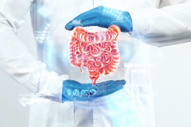 장과 뇌의 연관성: 마음은 사실 장에서 시작됩니다