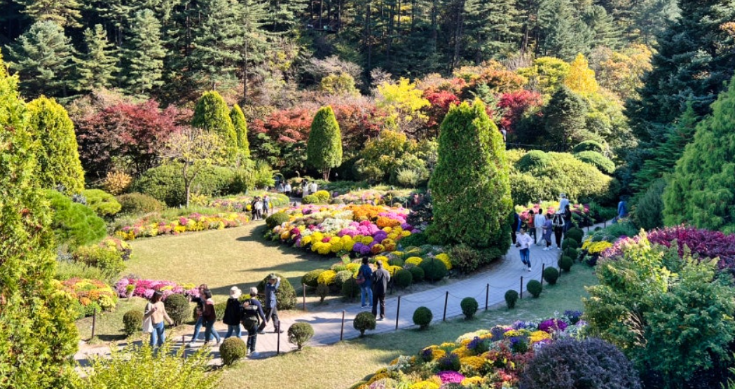 가평 아침고요수목원
