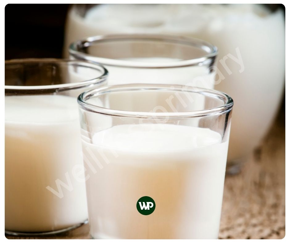 산양유 단백질 효능