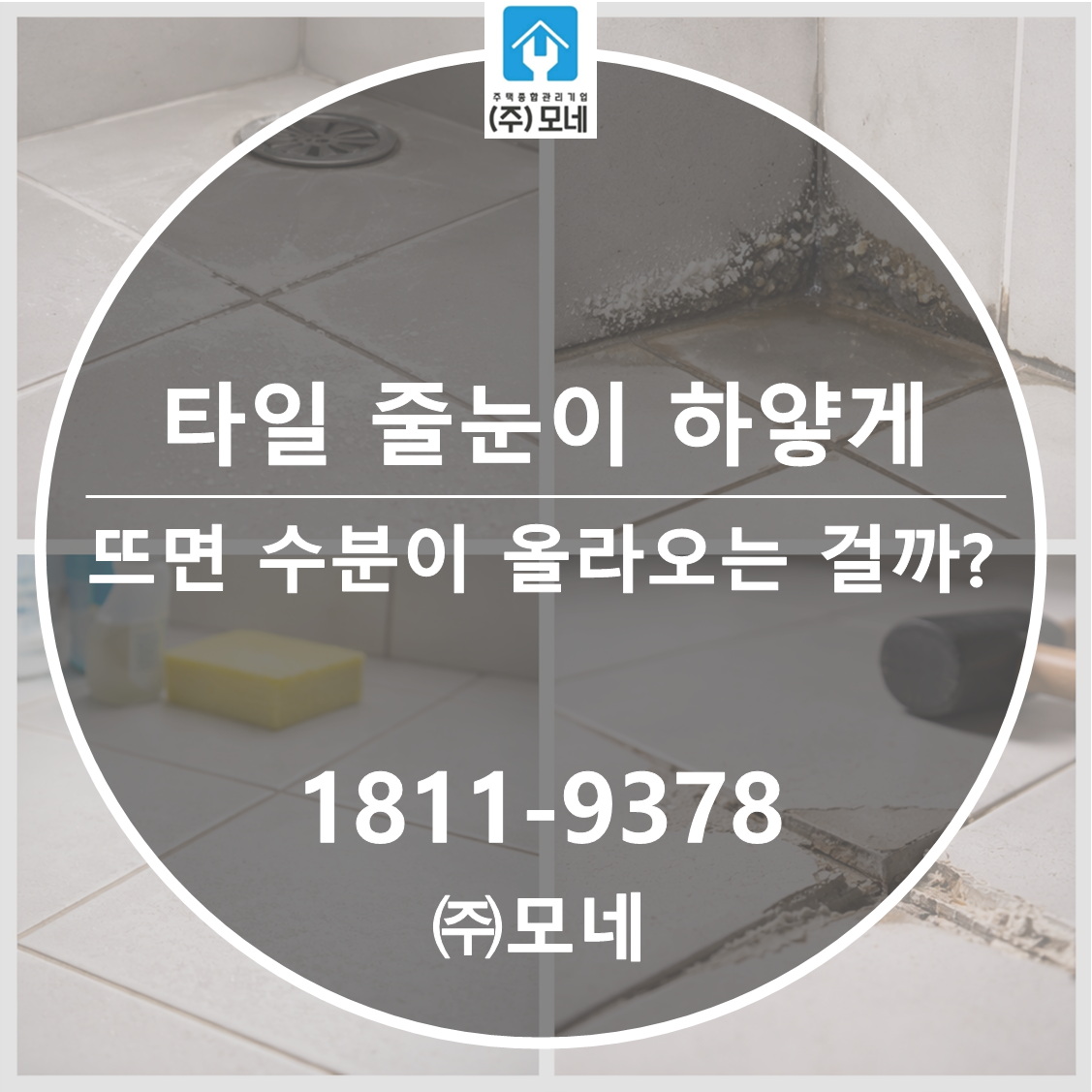 타일 줄눈이 하얗게 뜨면 수분이 올라오는 걸까?