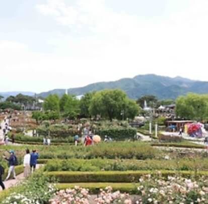 곡성세계장미축제 2025