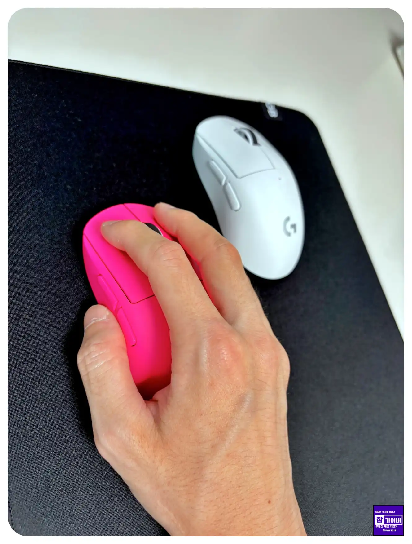 로지텍 지슈라2C 핑크 컬러 그립감과 측면 실물