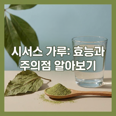 시서스 가루 효능 및 부작용