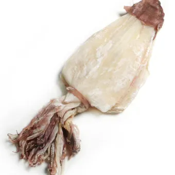 한치 오징어 차이 비교 생김새 맛 식감 완벽 분석_5