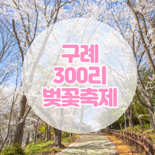 구례-300리-벚꽃축제