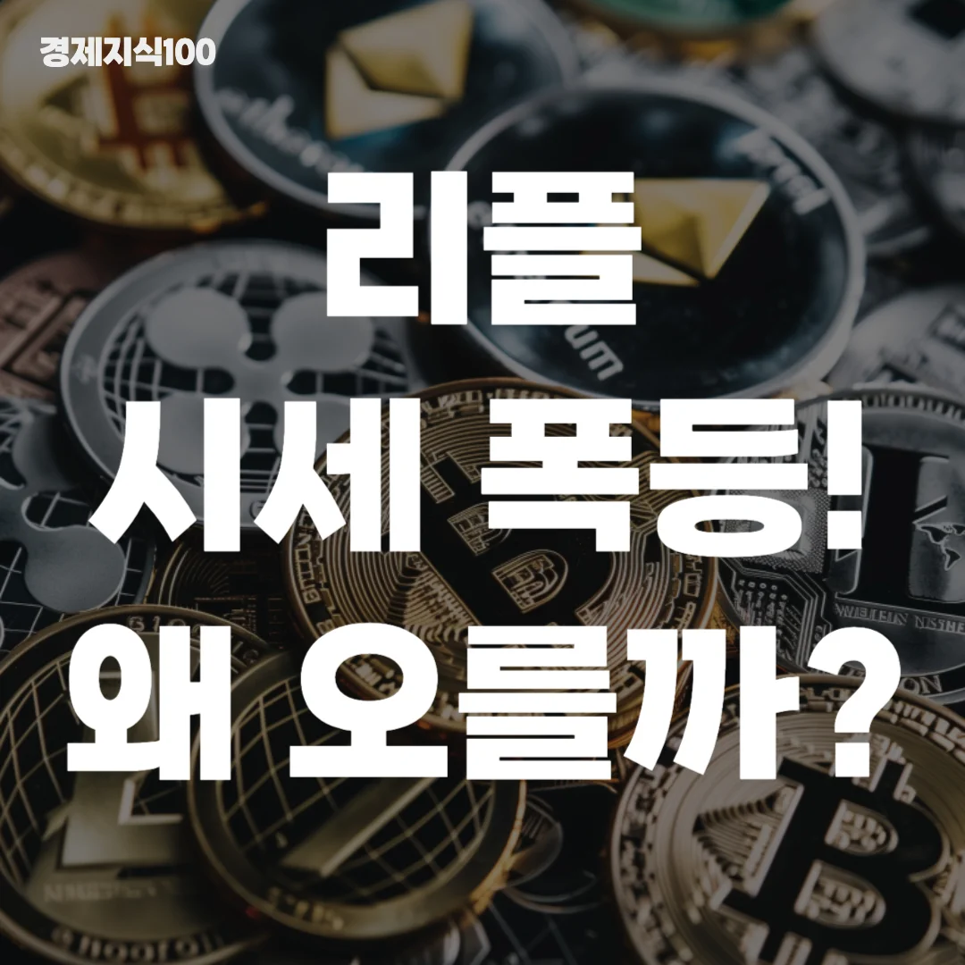 리플 시세 폭등 섬네일