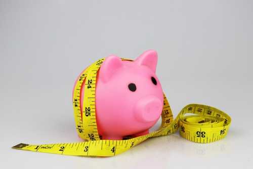 체지방 관리가 필요해!