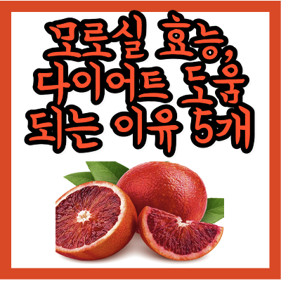 모로실 효능