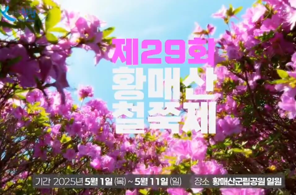황매산 철쭉제 관련사진