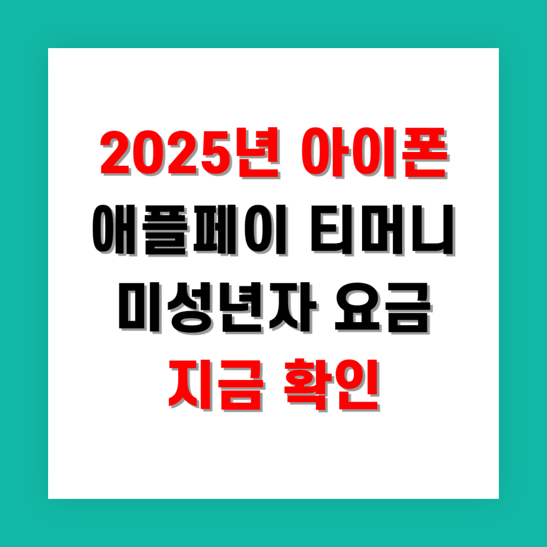 2025년 아이폰 애플페이 티머니 미성년자 요금 지금 확인