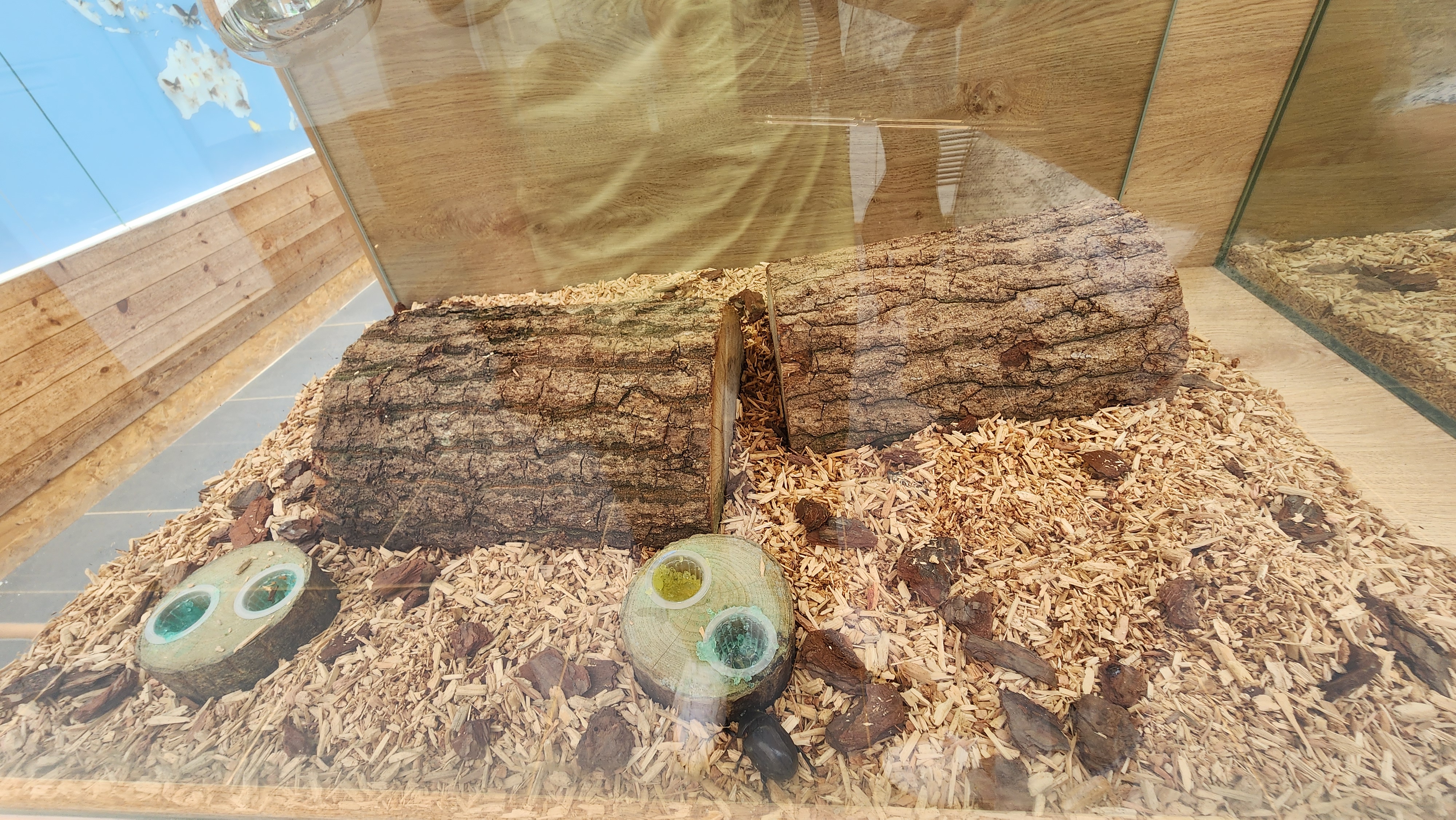 자라섬 이화원&amp;#44; 가평 가볼만한곳