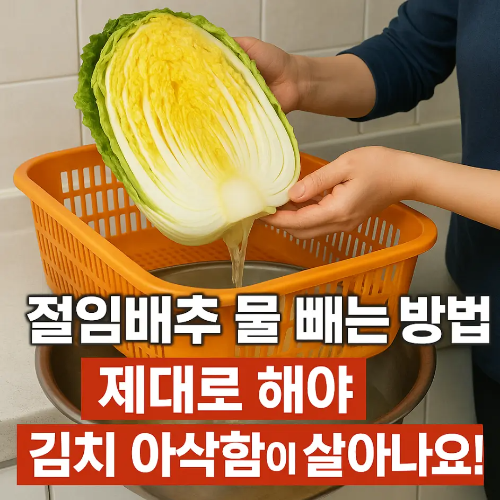 썸네일-절임배추 물 빼는 방법