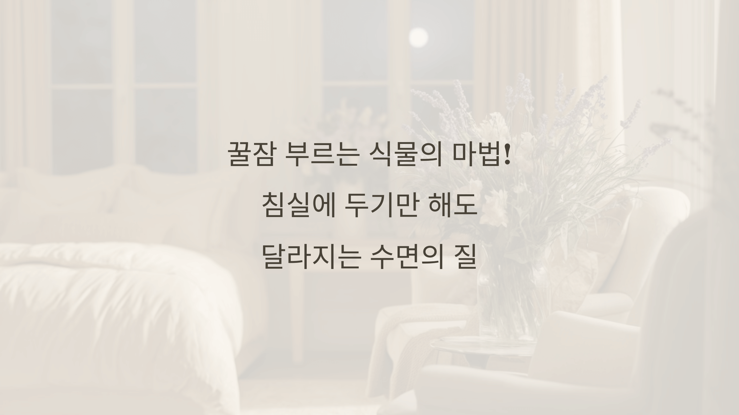 침실 공기 정화 식물 추천! 숙면을 위한 최고의 선택