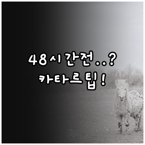 카타르항공 좌석 변경 48시간 전 온..