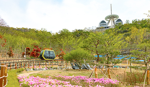 화개정원 관련 사진첨부