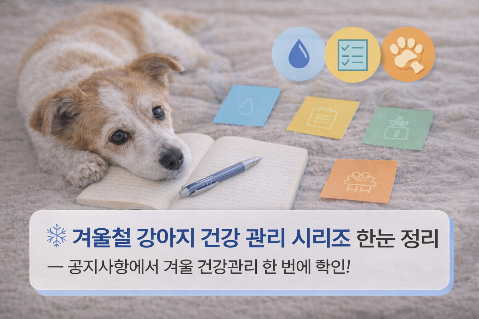 alt="겨울철 강아지 건강 관리 시리즈 한눈 정리: 반려견 블로그 공지사항"