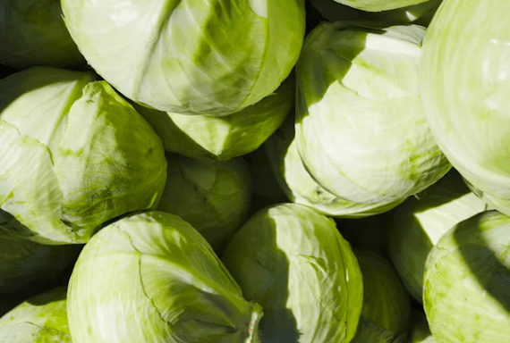 대장암&middot;혈당 걱정? &amp;#39;이 영양소&amp;#39;로 관리하세요!