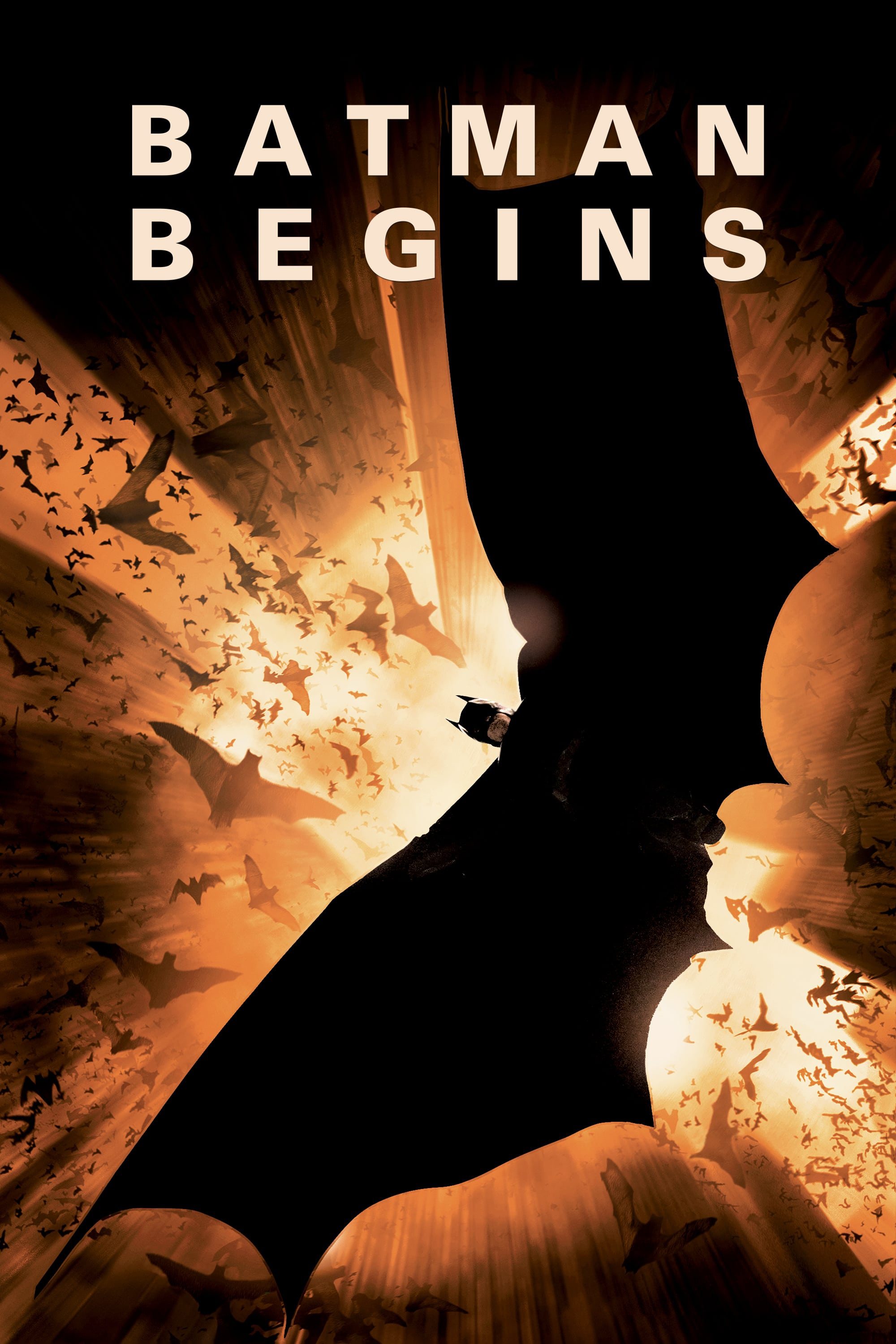 배트맨 비긴즈(Batman Begins, 2005)