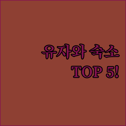일본 에치고 유자와 숙소 추천 TOP..