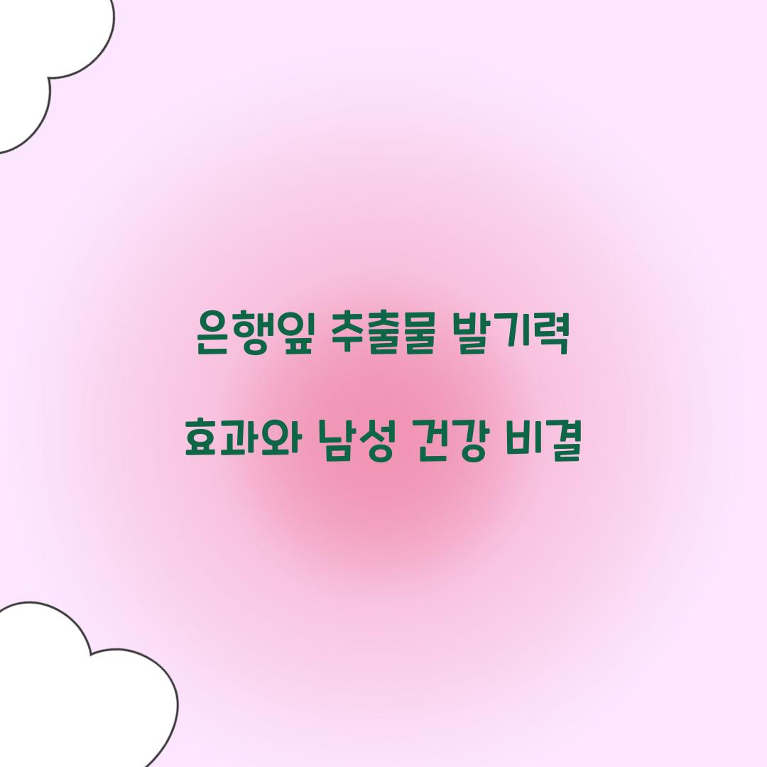 은행잎 추출물 발기력