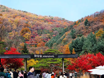 화담숲예약하기