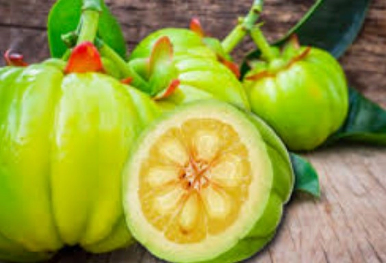 가르시니아 hca 자주 묻는 질문