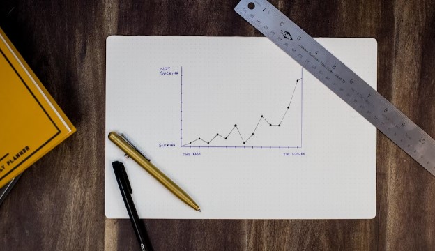 성장그래프-사진