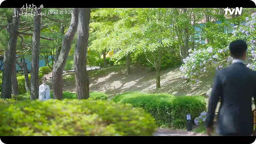 사랑은 외나무다리에서