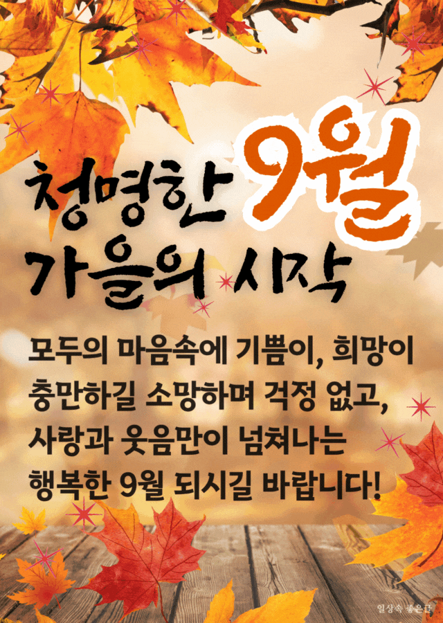 9월 가을 인사말 이미지, 단풍잎 배경의 따뜻한 9월 안부인사 문구, 행복한 9월 시작 카톡 인사 이미지