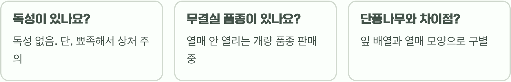 미국풍나무의 골칫거리, 고슴도치 열매 처리 방법