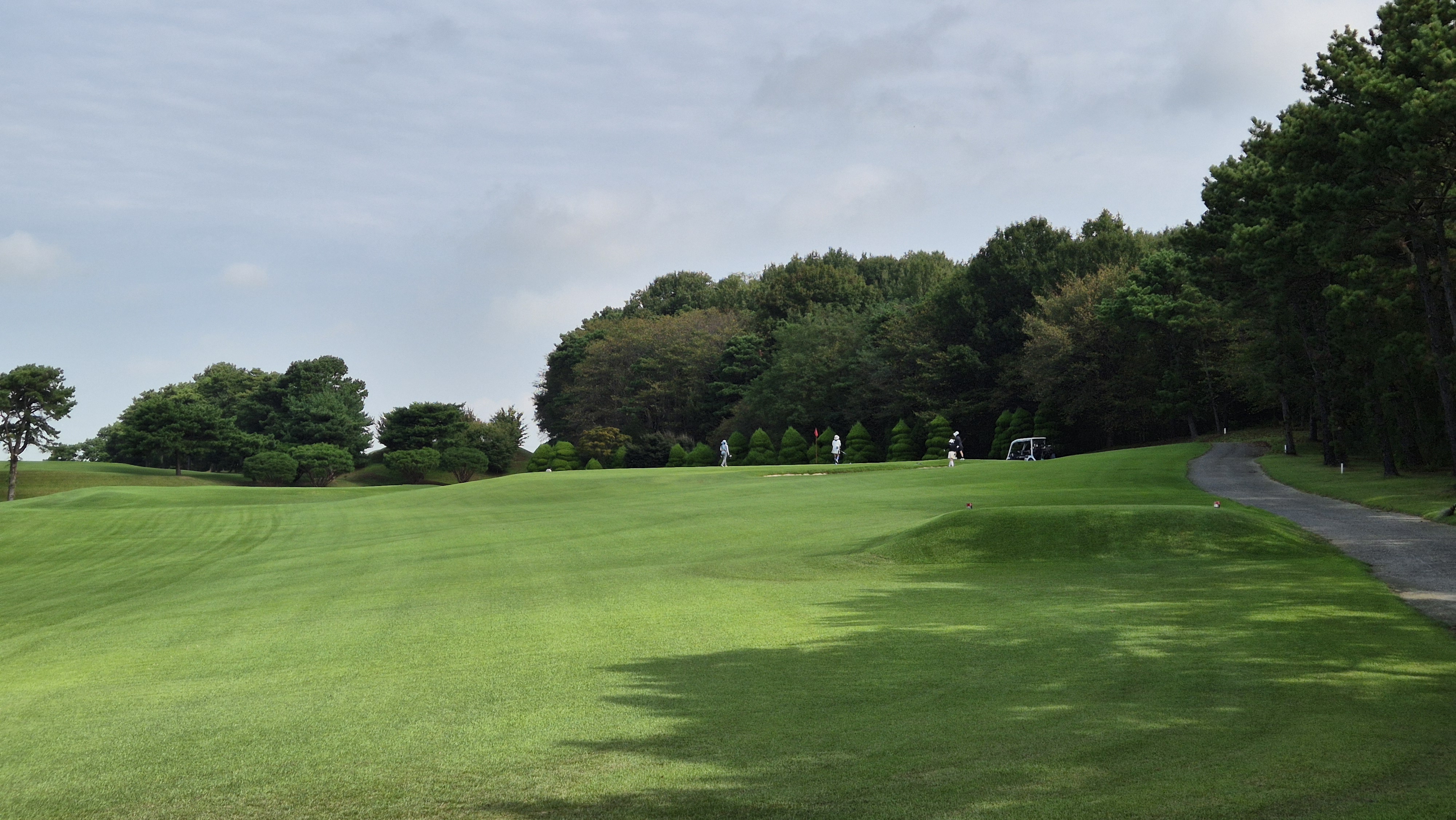 도고cc 코스 사진 및 공략 정보