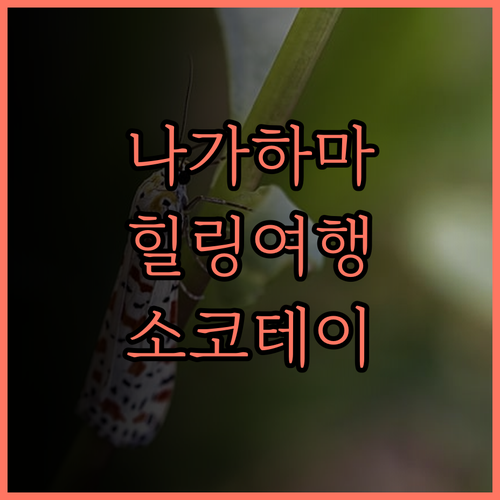 소코테이 젠나이.. 나가하마에서 경험