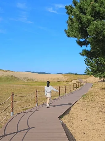 태안 여행코스 추천 꽃지해변 포함한 드라이브 코스 안내_19