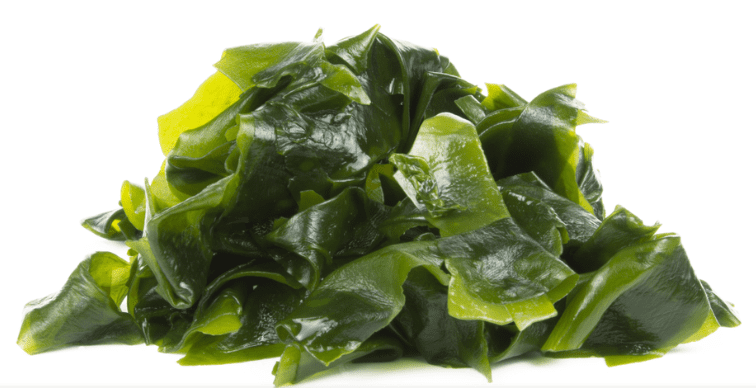 임산부에게 좋은 대표적인 음식