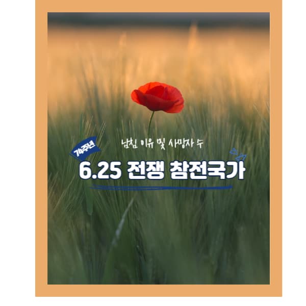 참전국가