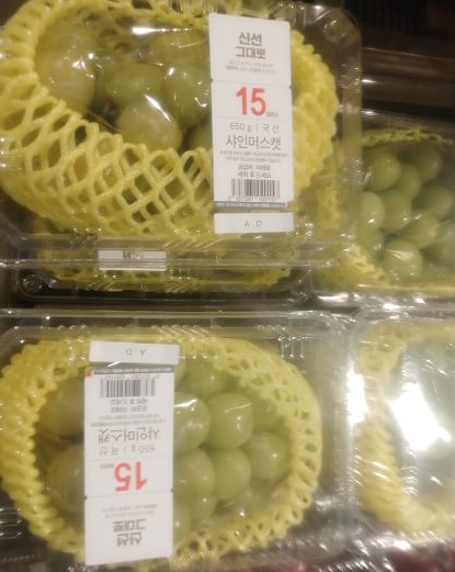 샤인머스켓 매장